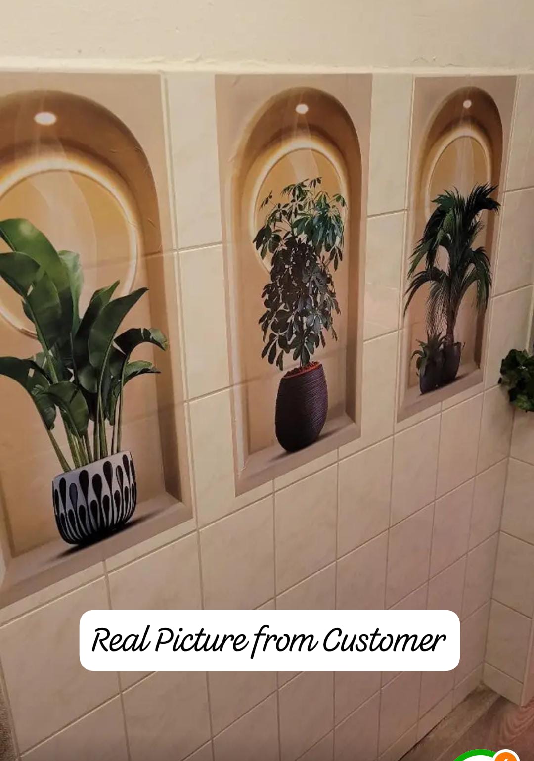 3D Wall Stickers Pack of 3 (Real Pictures Included)