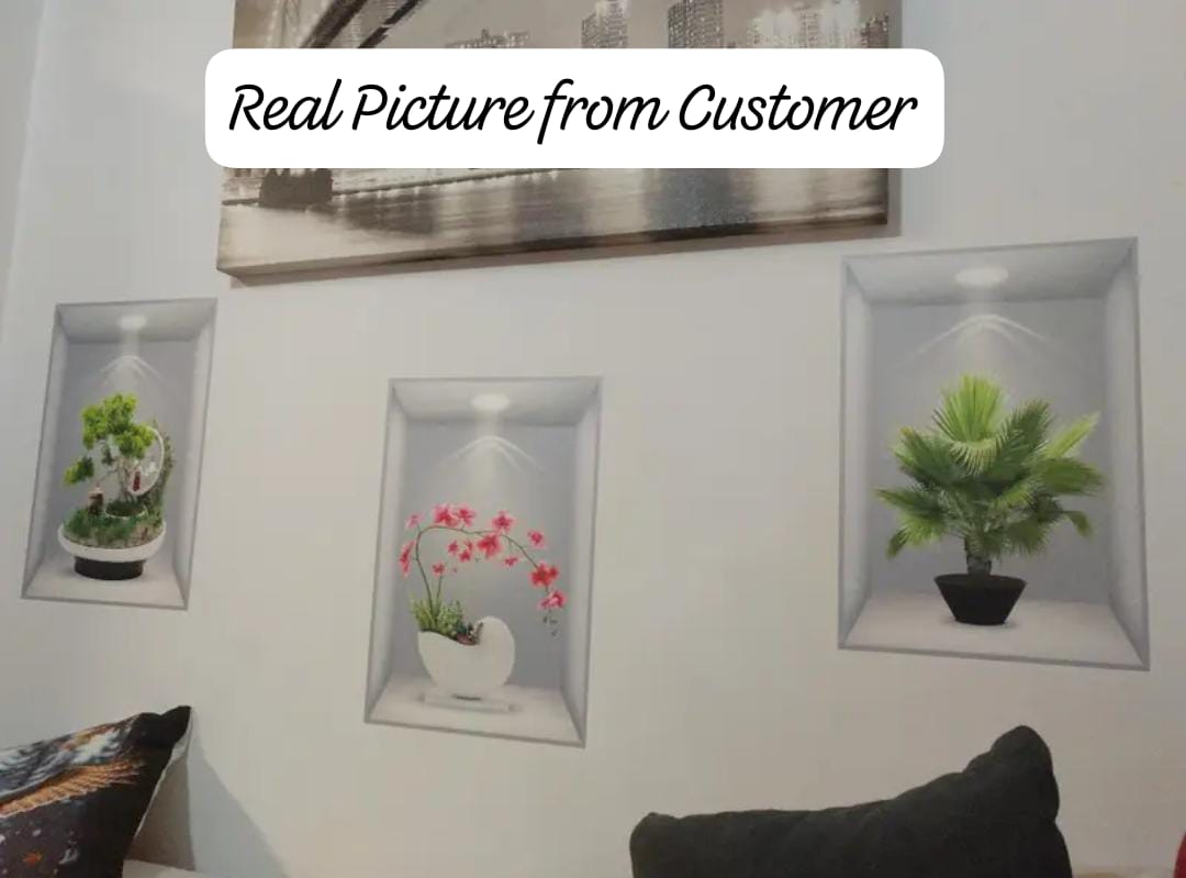 3D Wall Stickers Pack of 3 (Real Pictures Included)