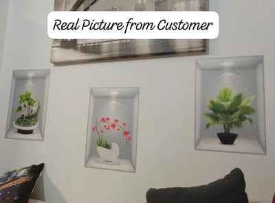 3D Wall Stickers Pack of 3 (Real Pictures Included)